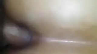 تقليم