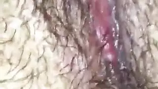 الحمار لطيفة من العراق