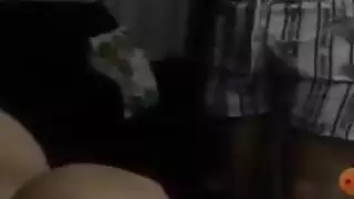 أرنب تركي يظهر ثدييه على المنظار