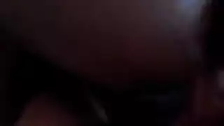 اللاتينية / العربية الديك