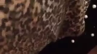 اللسان الحجاب التركي
