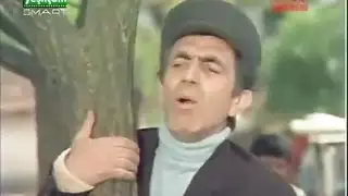 تشغيل الفيديو