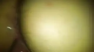 الجنس العربي
