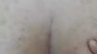 الحمار صديقته الإيرانية