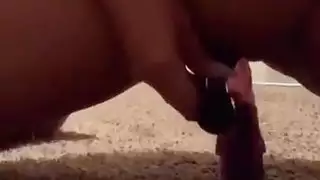 الجبهة العربية ارضاء نفسها مع لعبة