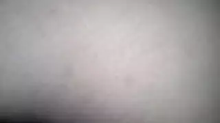 الحمار الرطب الساخنة