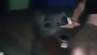 ماروكين في حالة سكر شارموتا