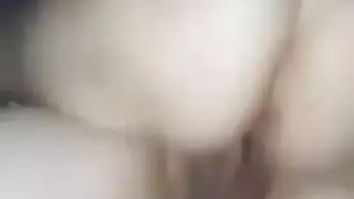 الديك التركي الكبير