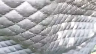 جنسي ساخن الفيديو الاباحية الهندي