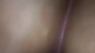 الحمار العربي سخيف