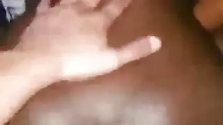 الأبنوس تربية العربية