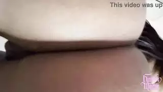 العرض الحسي للهواة الرطب والبري