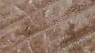 قرب كس الإناث منفردا الاستمناء التمتع