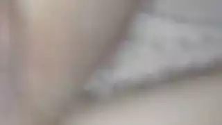 الحمار العربي فوكين