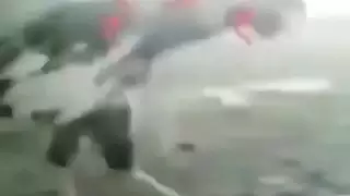 الديك الأسود العربي